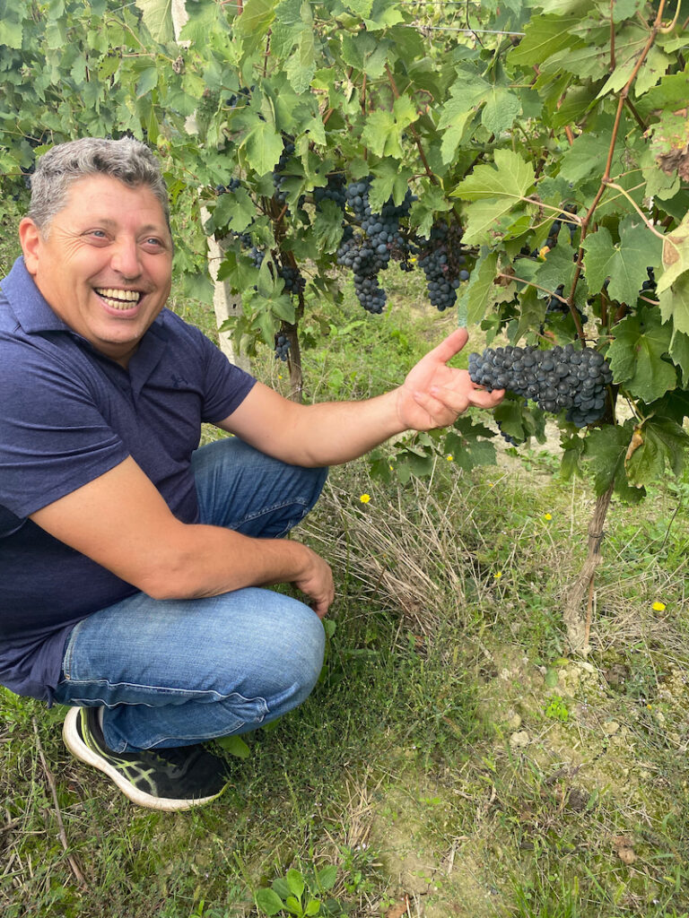 vin fra små vinproducenter